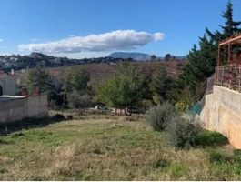 ΔΙΩΝΗ ΟΙΚΟΠΕΔΟ 500ΤΜ